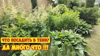 Мой ТЕНИСТЫЙ ЦВЕТНИК и 28 лучших растений для тенистого сада