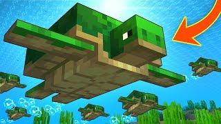 Everything You Need To Know About TURTLES In Minecraft