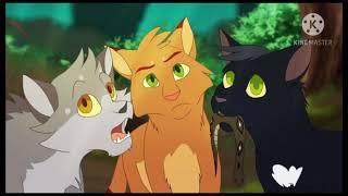 Warrior Cats Animator Tribute House Of Memories