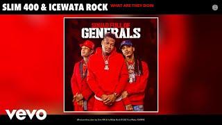 Slim 400 IceWata Rock - What are they doin Audio