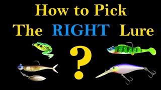 How to Pick the Right Fishing Lure Best Way to Catch a Fish