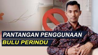 Hindari 5 Pantangan Bulu Perindu ini Jika Tidak Ingin Energinya Luntur Dan Hilang