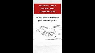 Horses That Spook Are Dangerous  Holistic Horseworks