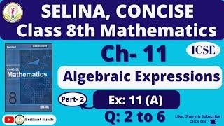 Class 8th ICSE  Selina Math  Ch- 11 Algebraic Expressions Ex 11 A Q 2 to 6