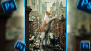 a surreal CAT in the city PHOTOSHOP Manipulation Speed art