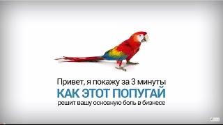 SEO для бизнеса. Павел Шульга Академия SEO