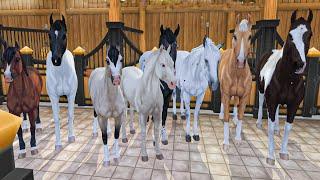 All 8 New Horse Colors  in Star Stable Horses Game