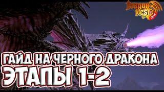 Гайд на Черного Дракона • Этапы 1-2 New Dragon Nest