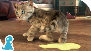 CUTE LITTLE KITTEN ADVENTURE - NAUGHTY KITTY MADE A PUDDLE - SPECIAL NEW KITTY VIDEO