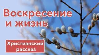  Воскресение и жизнь - ИНТЕРЕСНЫЙ ХРИСТИАНСКИЙ РАССКАЗ  Христианские рассказы