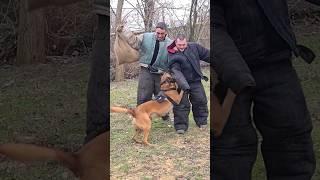 Eliminate the target.  Malinois Born.  Dog training GUARD.  Odessa 2024.