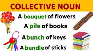 Collective Nouns  Collective Noun for kids  Basic English grammar  Collective Noun in English