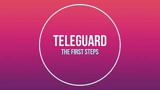 #TeleGuard - The first steps