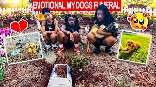 My Dogs Funeral   *Emotional*