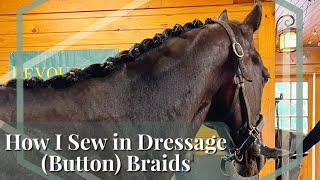 How To Do Sew In Dressage Braids  Plaits Button Braids  My Favorite Method