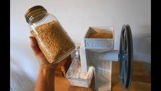 Wheat Berries Soaking Drying and More