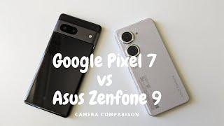 Asus Zenfone 9 vs Google Pixel 7  camera comparision