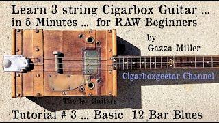 Learn 3 string cigarbox guitar in 5 minutes -Tutorial #3 by Gazza Miller