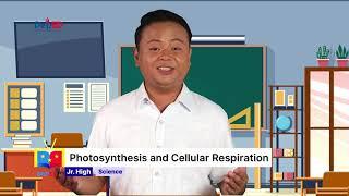 Grade 9 Science Q1 Ep 7  Photosynthesis and Cellular respiration  Part1