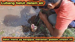 MANCING BELUT BESAR LUBANG BAWAH AIR Umpan mancing BELUT BABON paling ampuh sepanjang masa