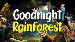 Goodnight Rainforest  Relaxing Rain Sounds  Bedtime Story for Babies and Toddlers 