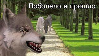 Клип Поболело и прошло в WildCraft.