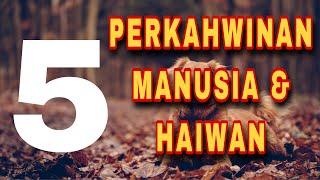 5 PERKAHWINAN MANUSIA & HAIWAN PELIK TAPI BENAR