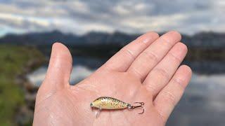 Fishing with the Worlds SMALLEST Crankbait? The Rapala CD-1 Lake Estes CO