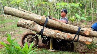 an amazing way to carry a lot of wood using a motorbike