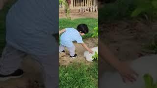 Cat scratched Abdullah. funny video#cat #scratch #kidsfun