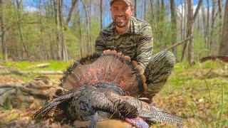 NY Turkey Hunt Public Land