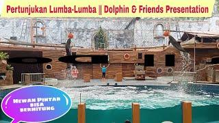 Pertunjukan Lumba - Lumba Taman Safari Prigen Pasuruan  Dolphin & Friends Presentation