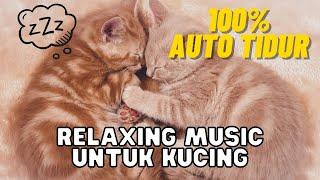 LAGU TIDUR KUCING - RELAXING MUSIK UNTUK KUCING  LULLABY FOR CAT  100% AUTO TIDUR