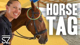 Horseback Riding Games & Exercises