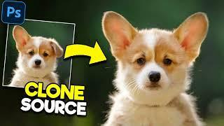 PHOTOSHOP  Clone Stamp Tool - Adobe Photoshop Tutorial for Beginners