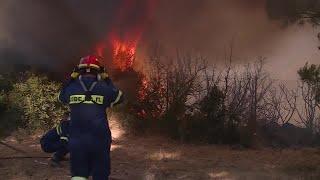 Smoke looms over Athens as firefighters battle wildfires  REUTERS