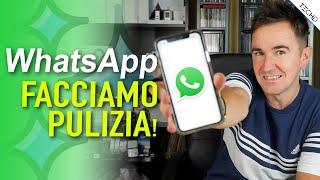 Whatsapp - Facciamo Pulizia sul nostro iPhone