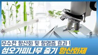 항산화 및 항염증 효과가 우수한 섬오가피나무 줄기 기반 항산화제 항산화제 항산화제 영양제