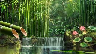 Relaxing Piano Music • Sleep Music Flowing Water Sounds Relaxation Music Meditation Music