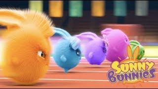 Cartoons for Children  Sunny Bunnies SUNNY BUNNIES THE BIG RACE  Funny Cartoons For Children