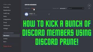 How to kick unwanted members in discord using Pruning