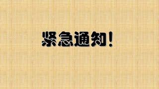 国内和国际的形式，微信和支付宝漏洞利用，已经下发到第三梯队！