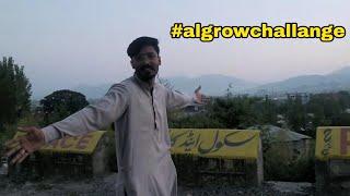 Going to hills for the best view #algrowchallange