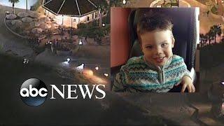 Boys Body Recovered after Disney Gator Attack