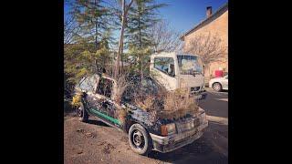 AMAZING Vegetal Car Art  quand un paysagiste dAurignac se défoule sur une épave  Topiary