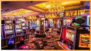 Casino  Gambling Streams auf Twitch