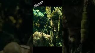 Stab The Heart  -- ‍️Pirates of the Caribbean- At Worlds End #shorts #jacksparrow
