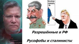 Какие два политических крыла разрешены в РФ? Неоколониализм