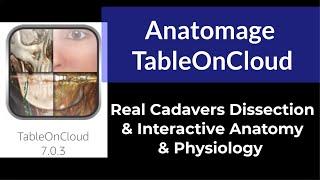 Anatomage TableOnCloud Real Cadavers Dissection & Interactive Anatomy & Physiology