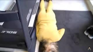Morgz mum falling off a treadmill